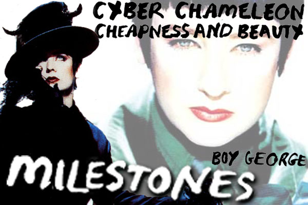 Cyber Chameleon Milestone 7 Cheapness and Beauty